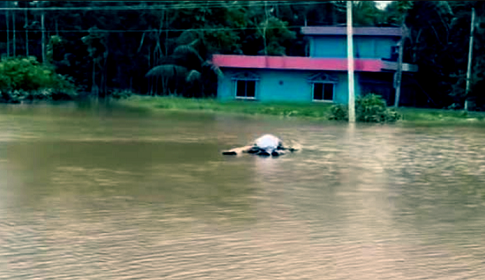 দেশে চলমান বন্যায় মৃত্যু ৩১ জনের