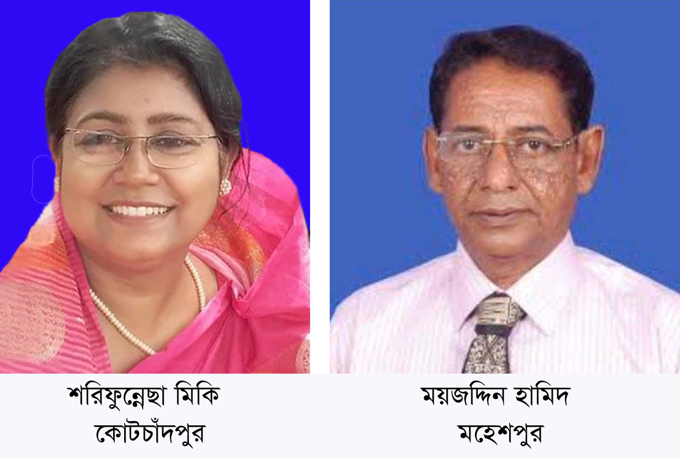 কোটচাঁদপুর ও মহেশপুর উপজেলা পরিষদ নির্বাচনে বিজয়ী হলেন যারা