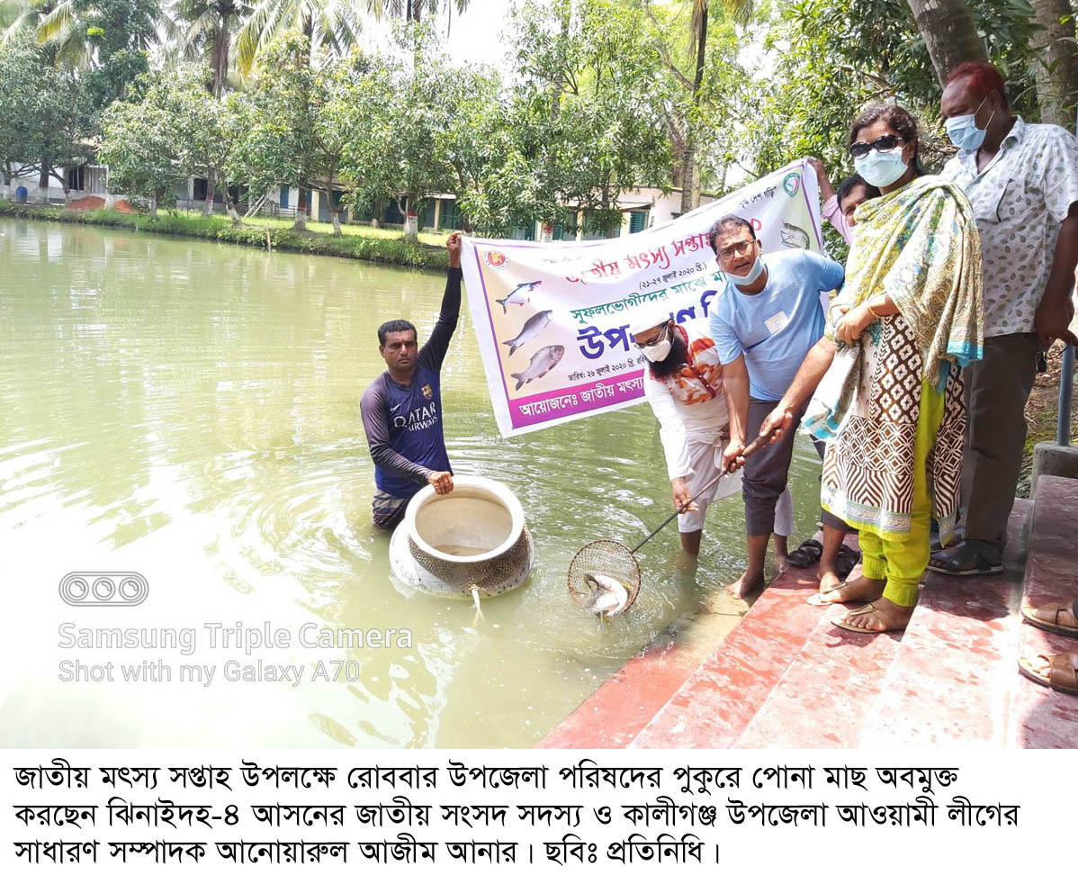 কালীগঞ্জে মাছের পোনা অবমুক্তকরণ সহ নানা কর্মসূচী