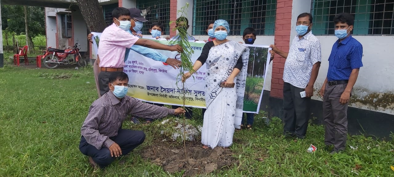 মুজিববর্ষে হরিণাকুণ্ডুতে বৃক্ষরোপণ