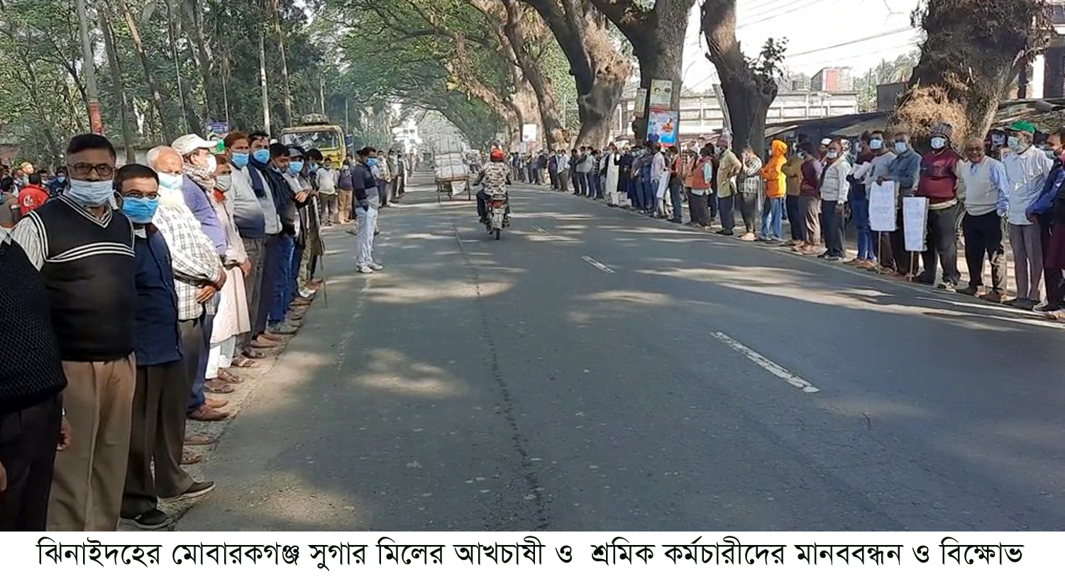 কালীগঞ্জে মোবারকগঞ্জ সুগার মিলের আখচাষী ও শ্রমিক কর্মচারীদের মানববন্ধন ও বিক্ষোভ