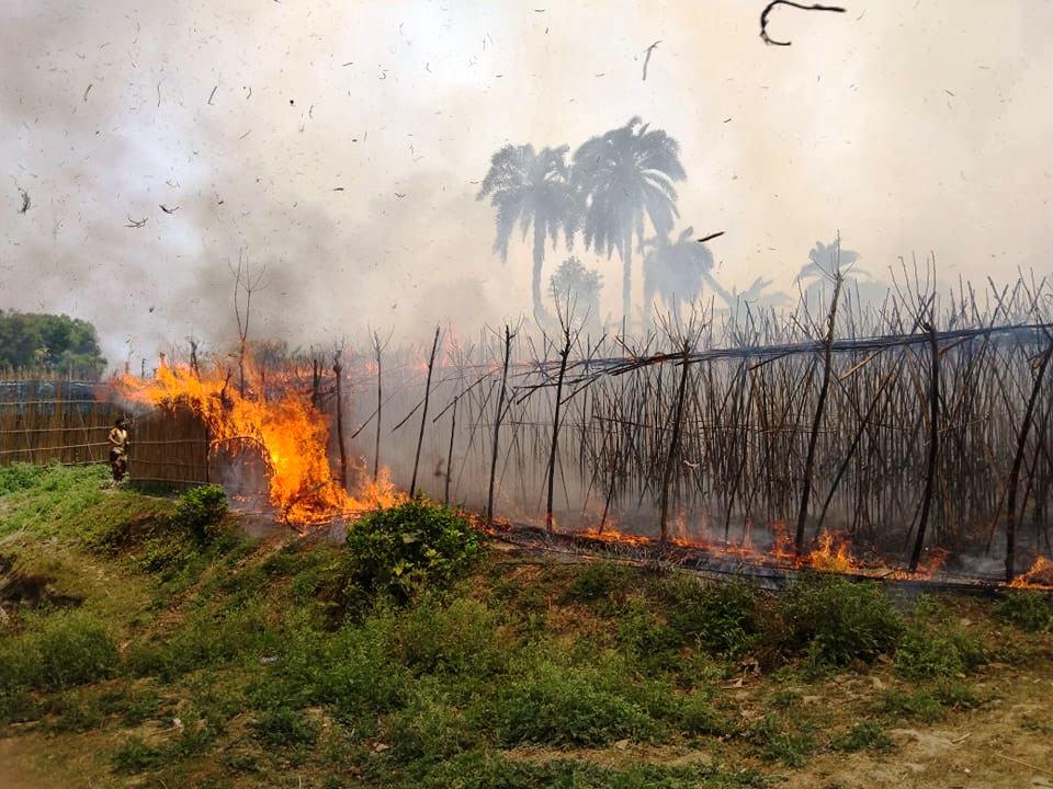 কালীগঞ্জে আগুনে ২০ বিঘা জমির পান বরজ পুড়ে ছাই