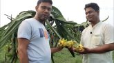 ৫ ভাইরার ছোট প্রজেক্টে বড় স্বপ্ন