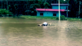 দেশে চলমান বন্যায় মৃত্যু ৩১ জনের