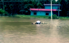 দেশে চলমান বন্যায় মৃত্যু ৩১ জনের